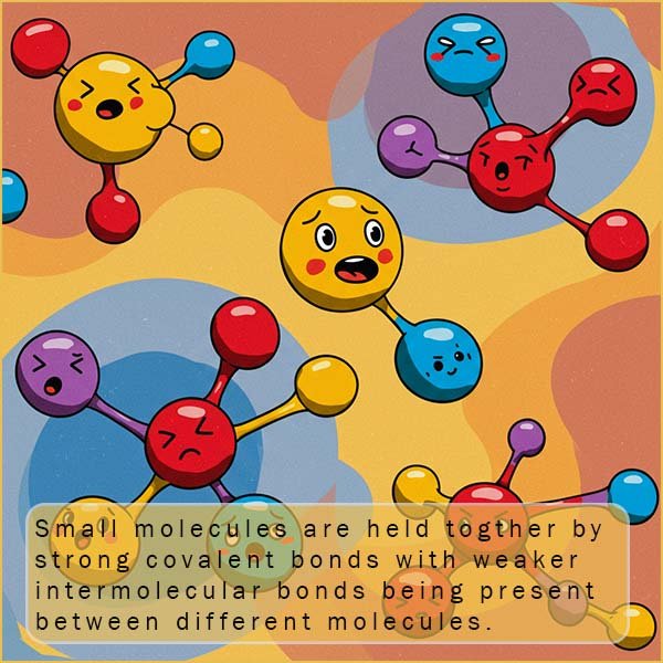 Images explains the difference between intermolecular and intramolecular bonding